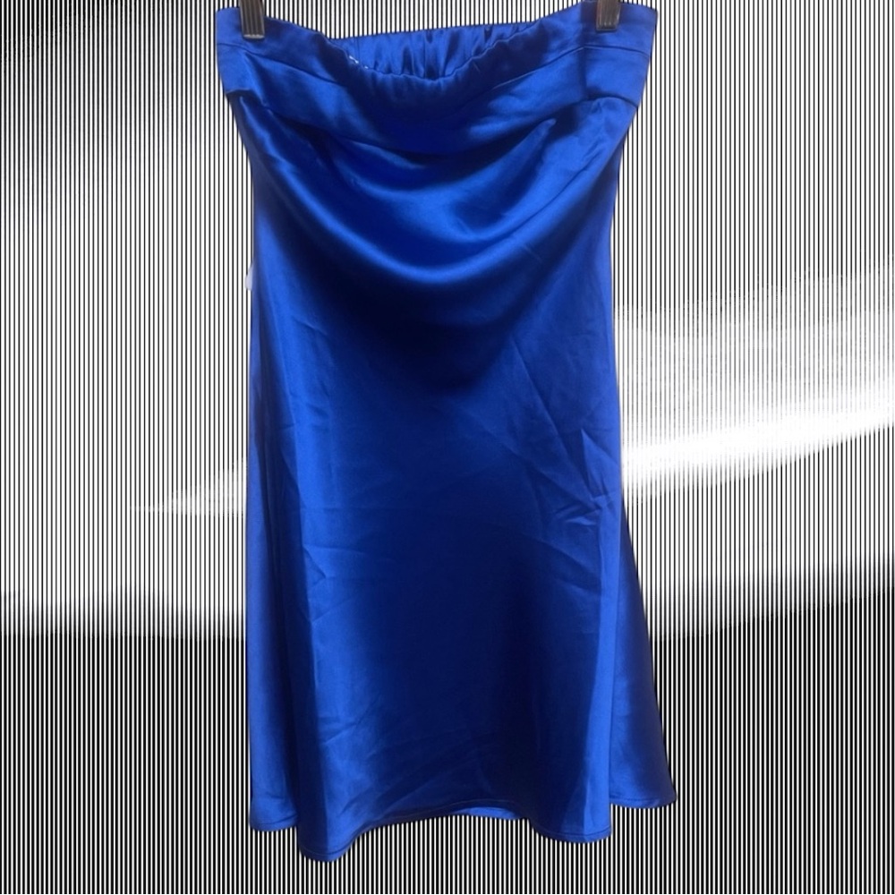 Princess Polly NWT Strapless Dress